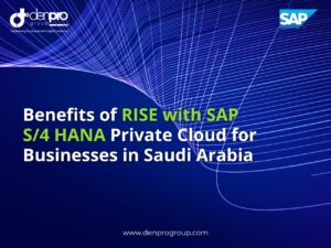 Benefits of RISE with SAP S/4 HANA Private Cloud