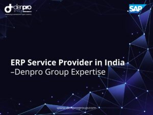 ERP Service Provider in India